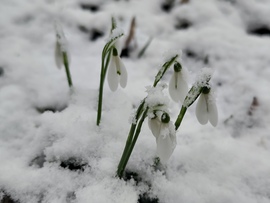 Váratlan délutáni havazás.