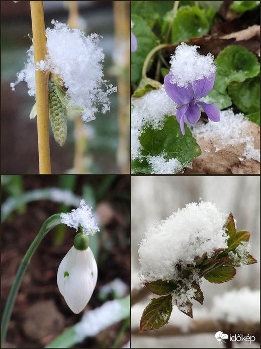 Tél és tavasz.