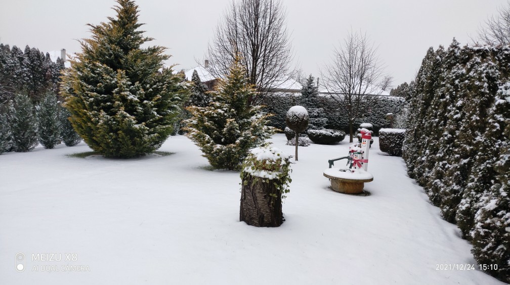 Észlelési fényképek