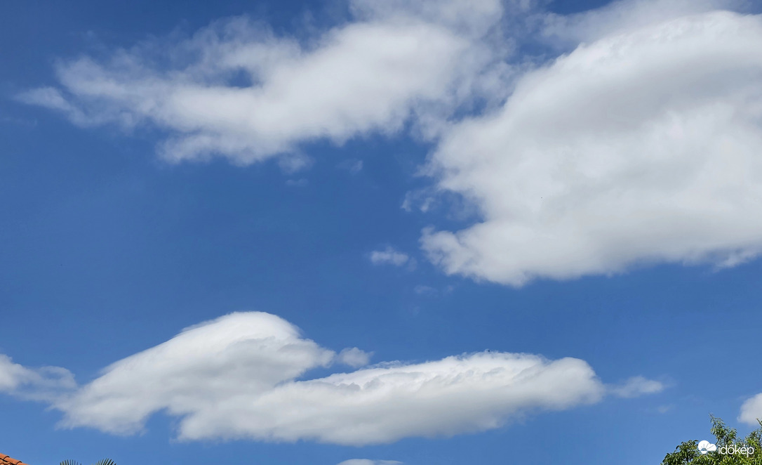 Altocumulus lenticularis