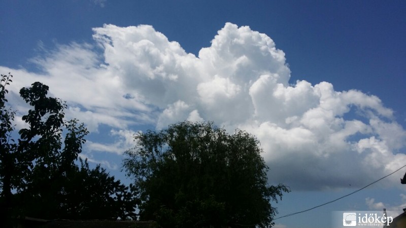 Észlelési fényképek