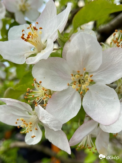 Borult időben is ragyogás