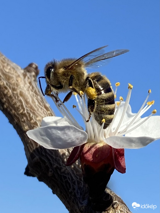 Hosszú volt az éjszaka, munkára fel!