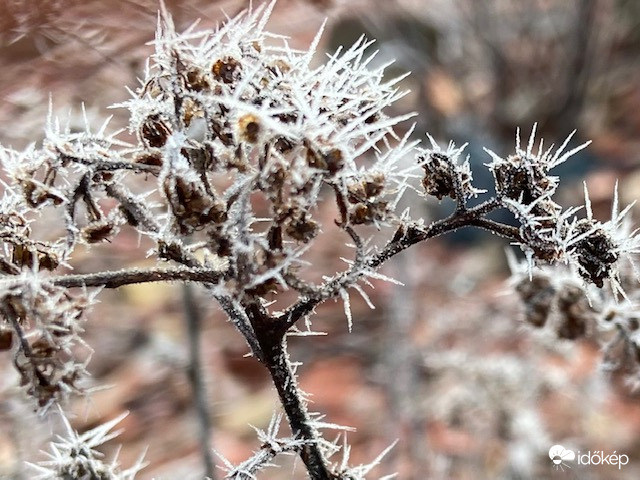 Meseszerű képződmény