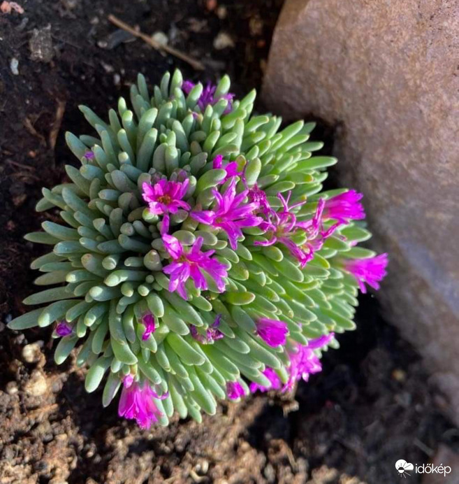 Kövek közé szorultam