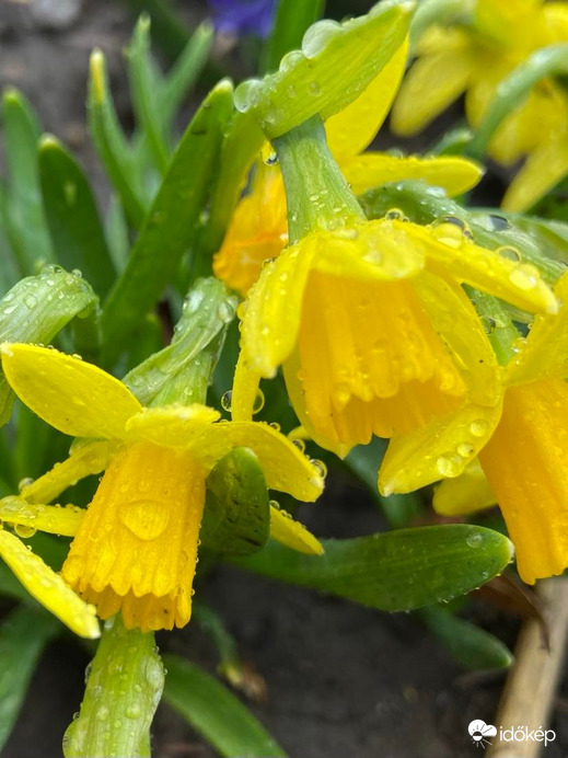 Végre megnyíltak az ég csatornái