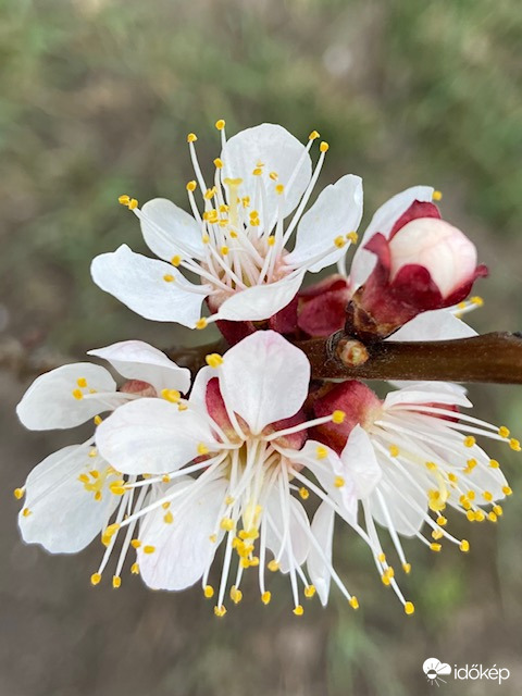 Újra verőfényes napsütésben!