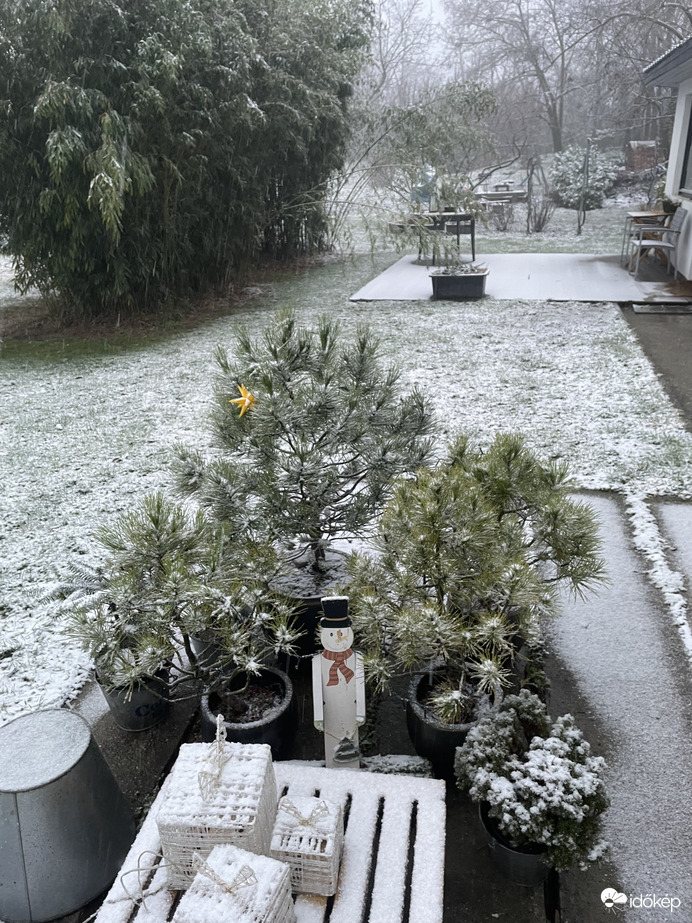 Észlelési fényképek