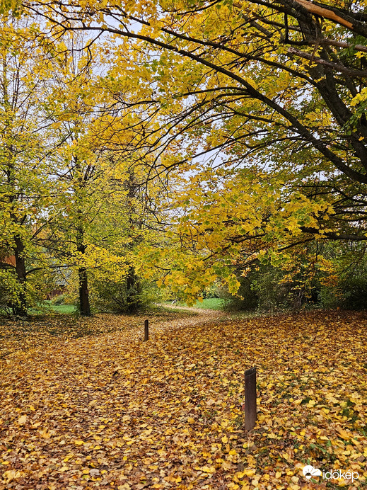 Chernel-park