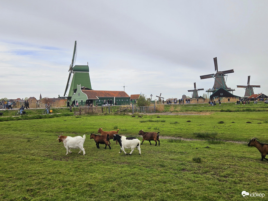 Holland táj