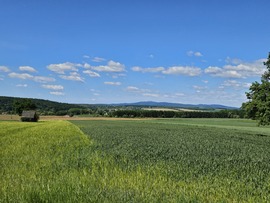 Alpokalja