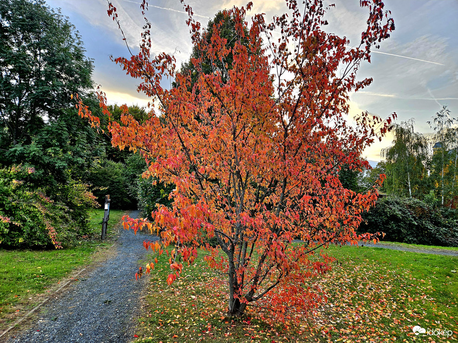 Kőszegen jár az ősz