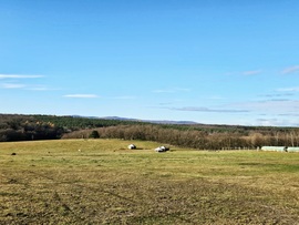 Tavaszias napsütés az Alpokalján