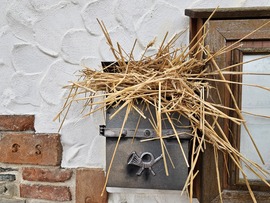 Lucázás Bozsokon 2