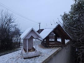 Madáretetés Kőszeg