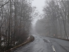 Erdei út szomorú, esős napon