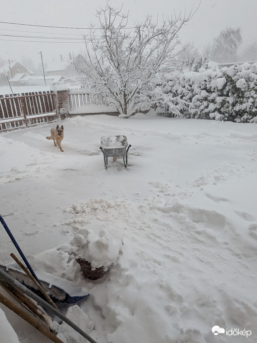 Észlelési fényképek