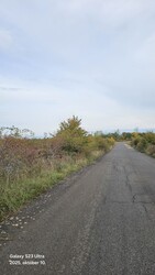 Szőc