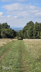 Halimba