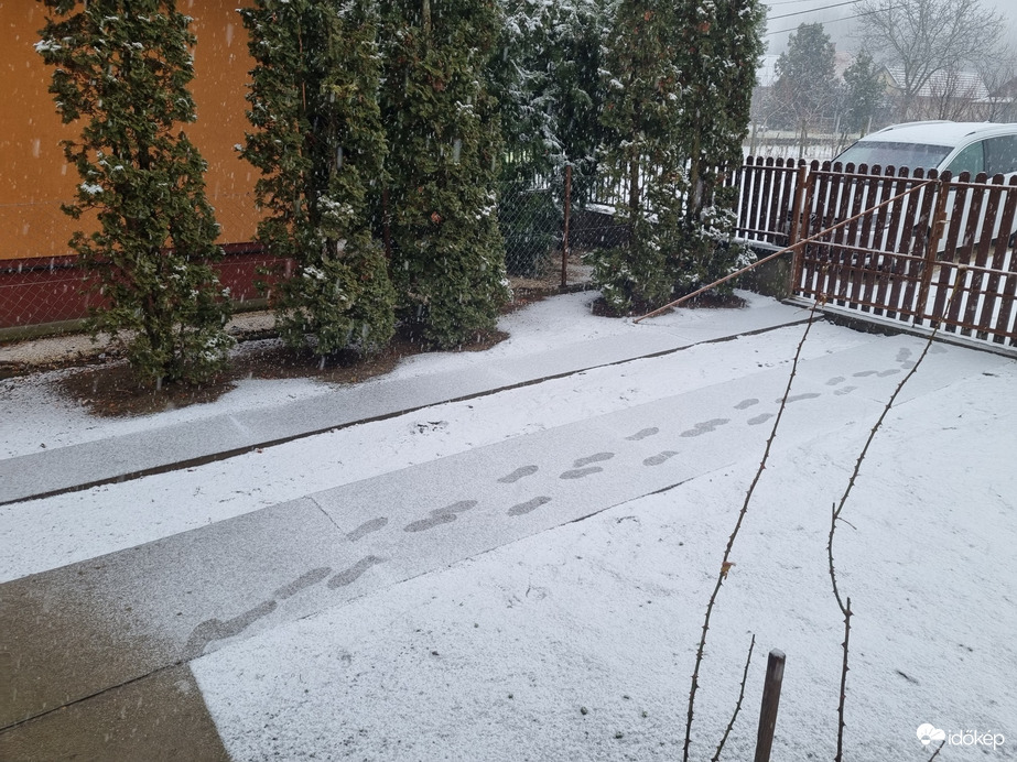 Észlelési fényképek