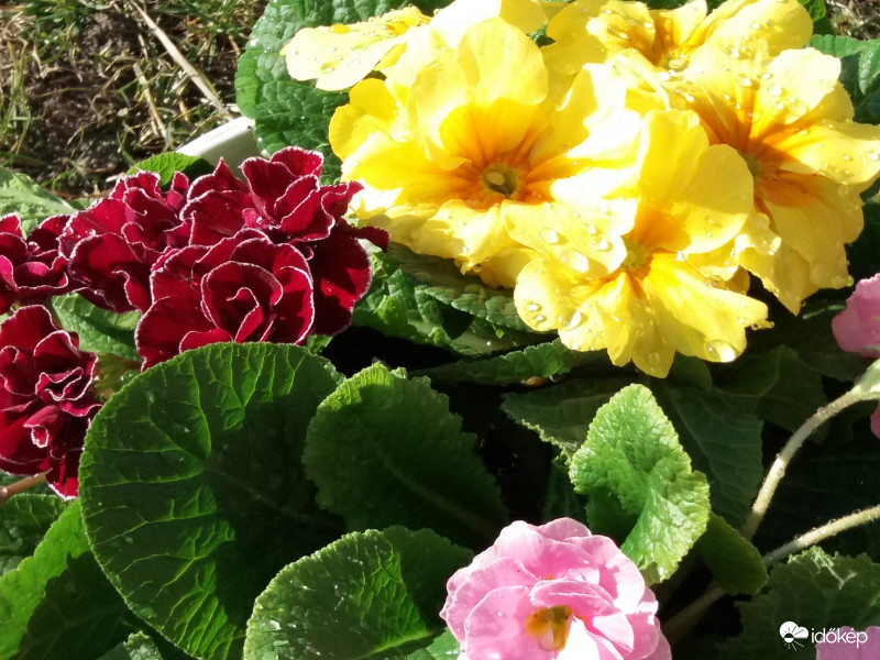 Remélem már tényleg itt a tavasz!