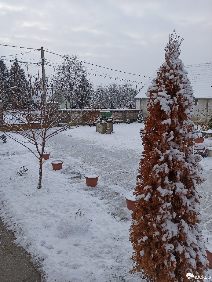 Észlelési fényképek