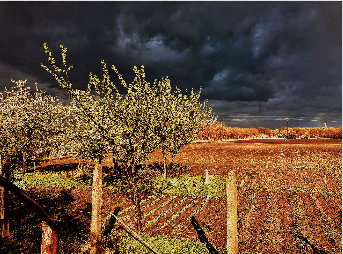 Észlelési fényképek