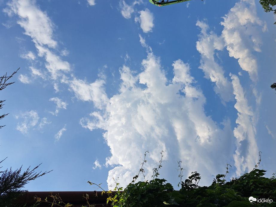 Észlelési fényképek