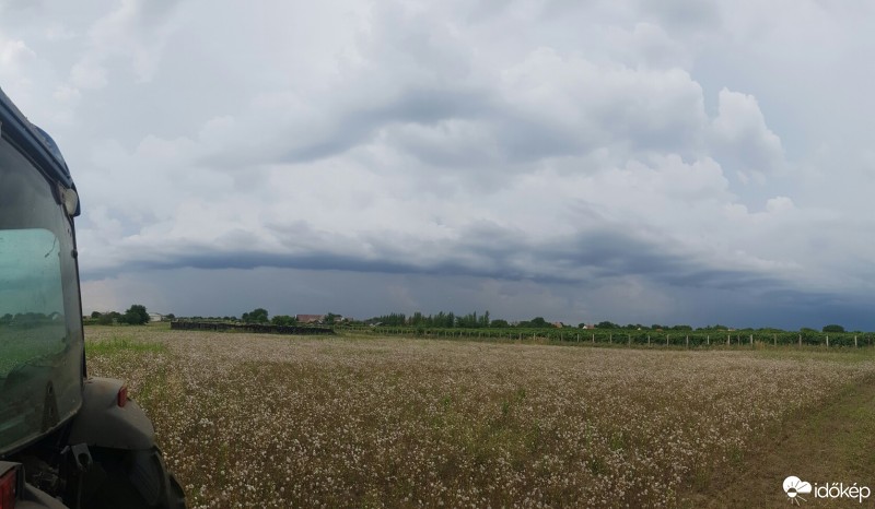 Észlelési fényképek