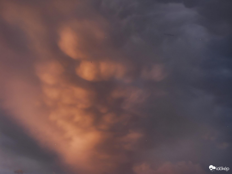 Mammák a naplementében