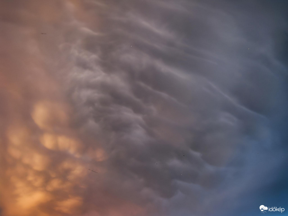 Mammák a naplementében