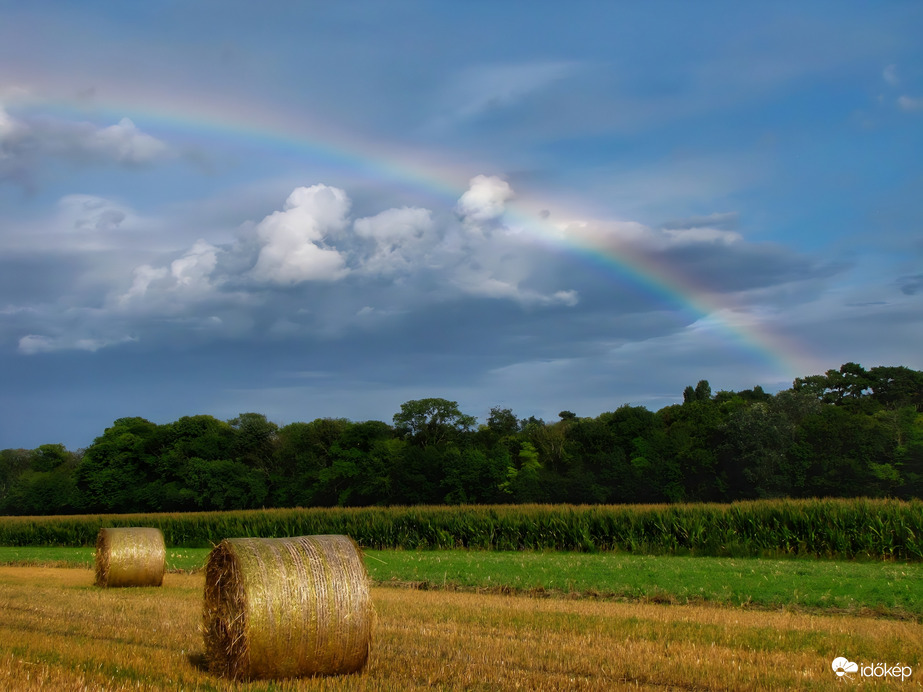 SZIGETKÖZI SZIVÁRVÁNY