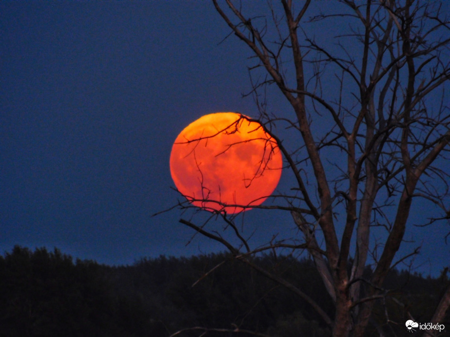 Holdkelte a Szigetközben!