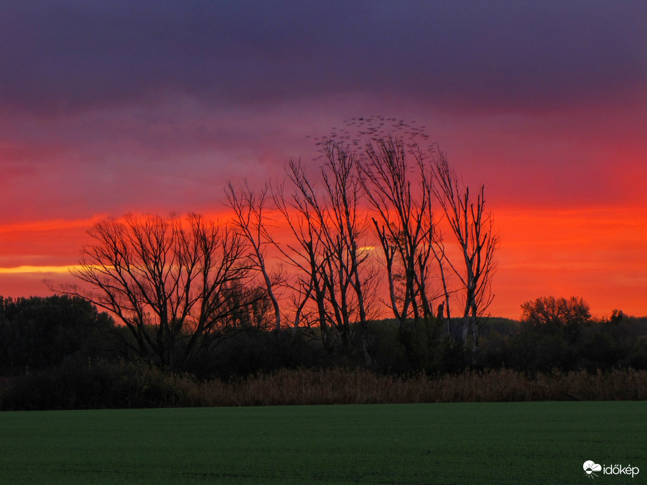 Színpompás novemberi indítás