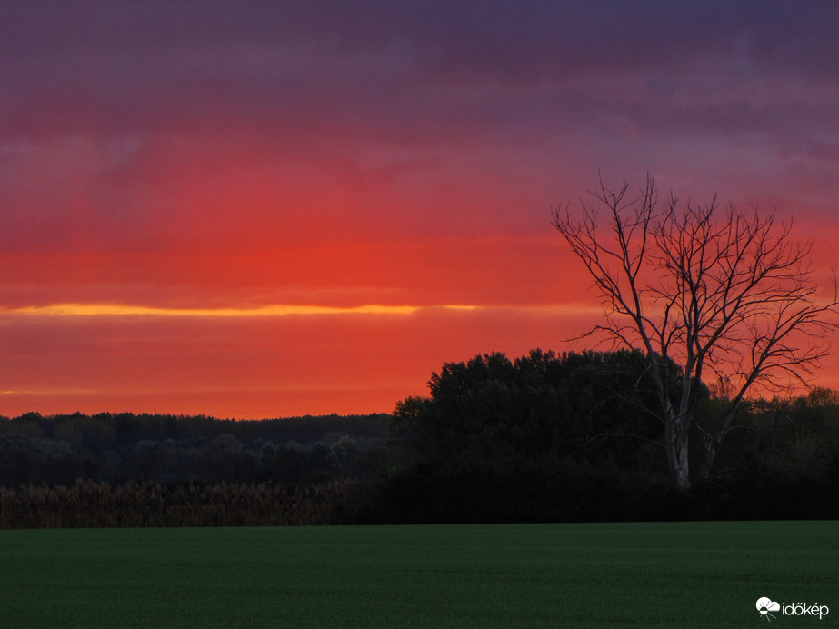 Színpompás novemberi indítás