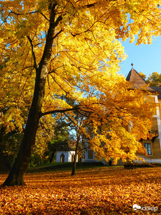 Csodálatos Szigetköz