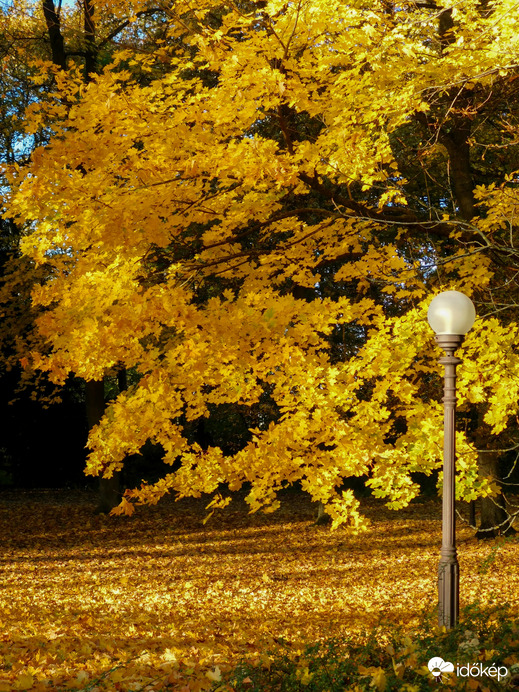 Pompás szigetközi ősz