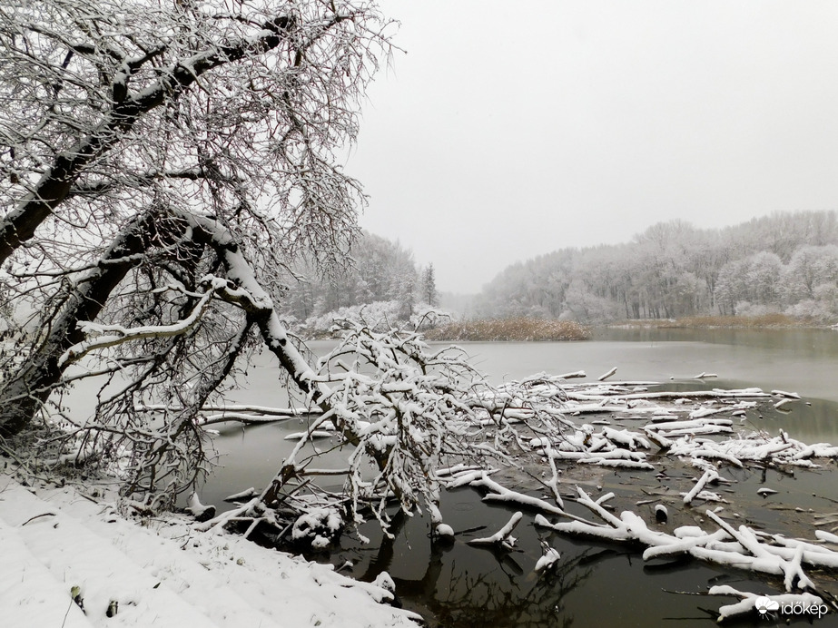 Havat hozó Mikulás