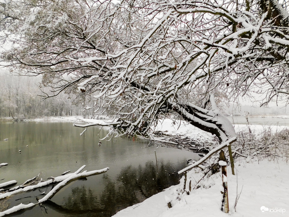 Havat hozó Mikulás