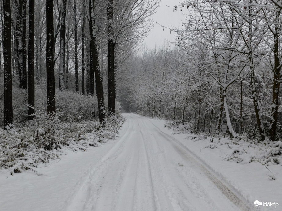 Havat hozó Mikulás