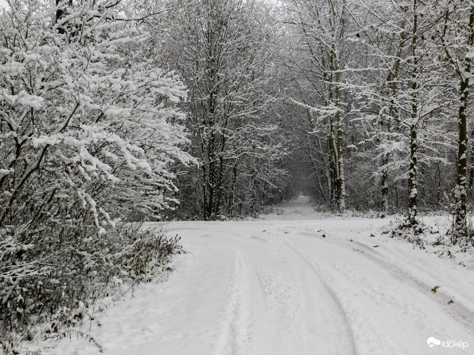 Havat hozó Mikulás