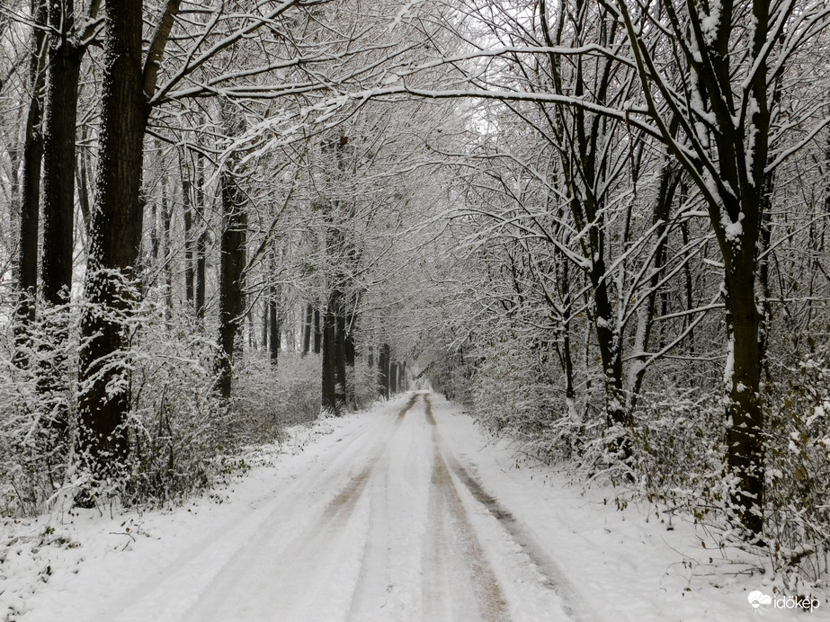 Havat hozó Mikulás