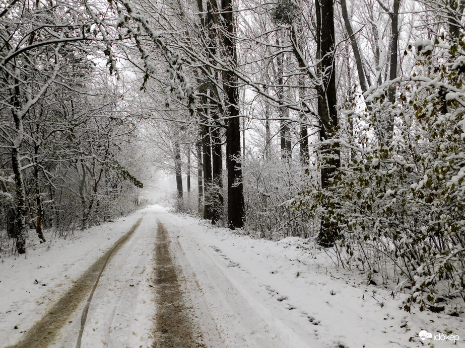 Havat hozó Mikulás
