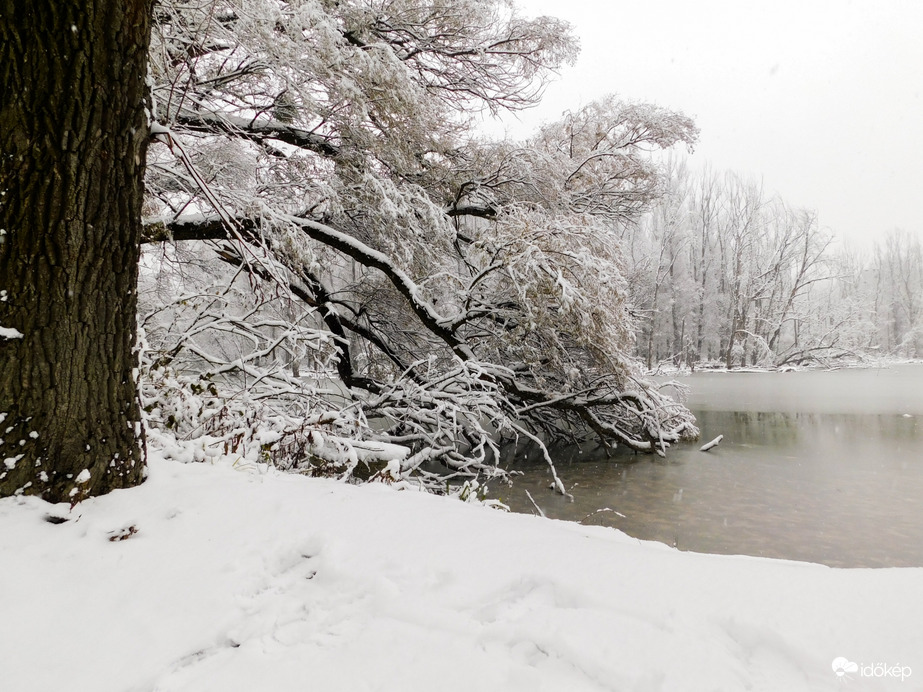 Havat hozó Mikulás