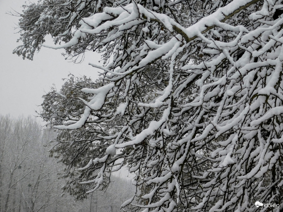 Havat hozó Mikulás