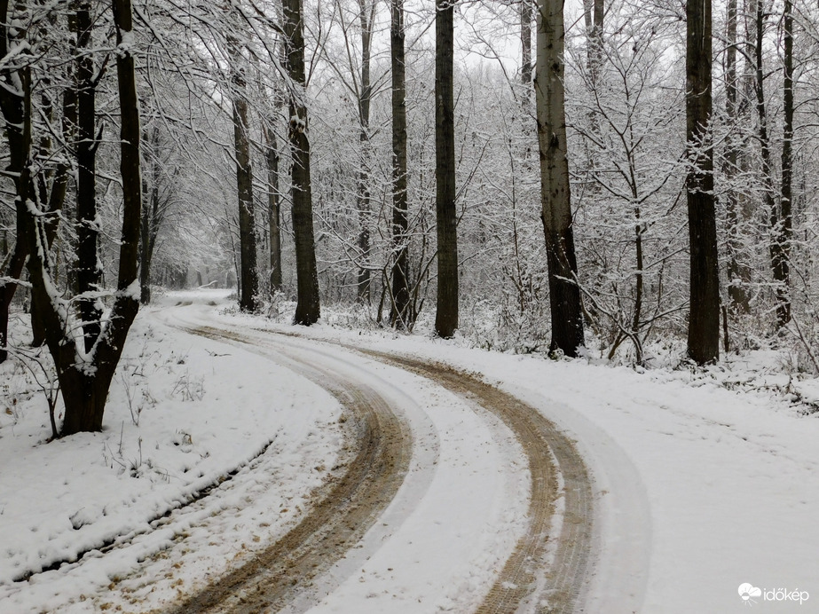 Havat hozó Mikulás