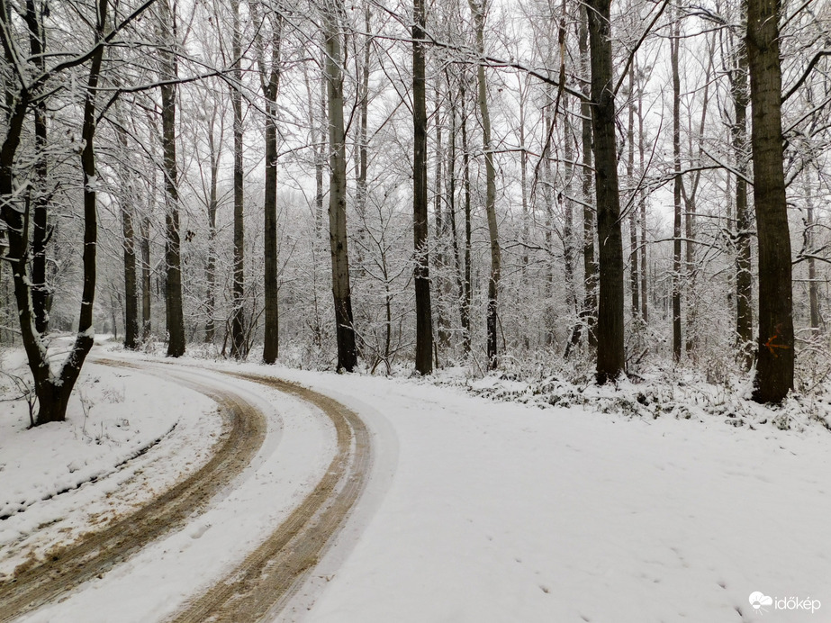 Havat hozó Mikulás