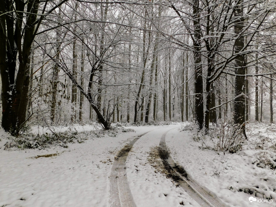 Havat hozó Mikulás