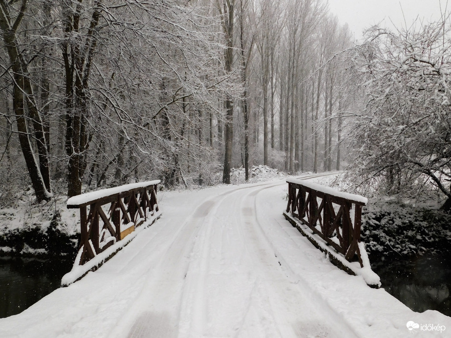 Havat hozó Mikulás