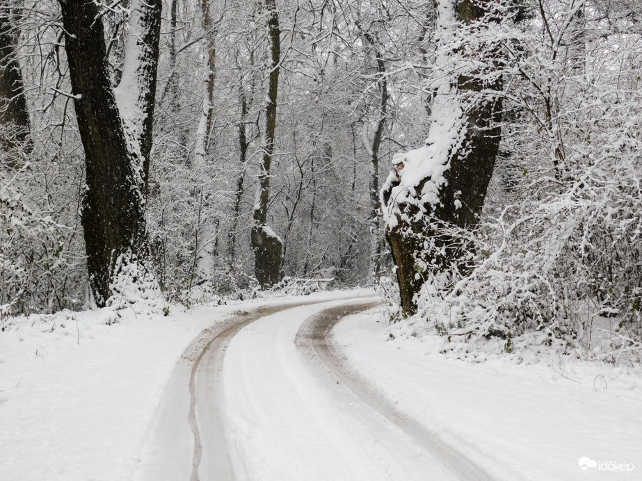 Havat hozó Mikulás